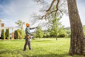 Best Lawn Mowing  in Mountain House, CA